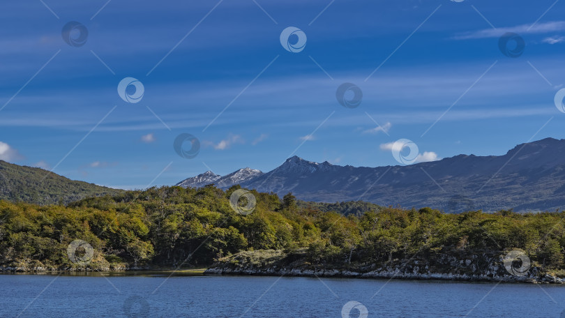 Скачать На берегу залива Лапатая растет лес. фотосток Ozero