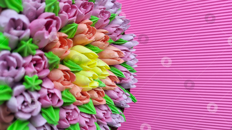 Скачать Разноцветные кремовые тюльпаны на торте на фоне розовой гофрированной бумаги. фотосток Ozero