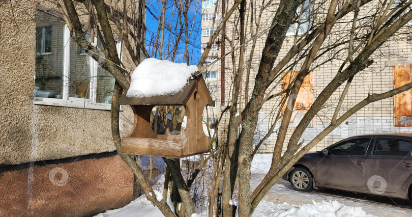 Скачать Деревянная домашняя кормушка для птиц зимой, подвешенная на кусте фотосток Ozero