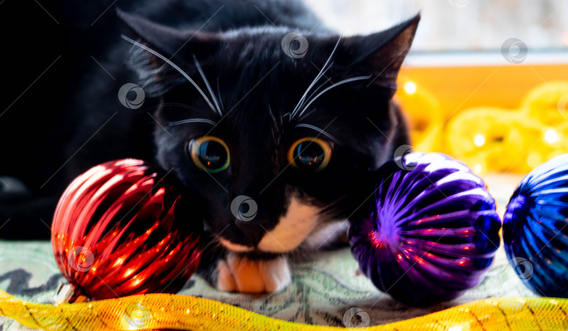 Скачать Черный котенок сидит рядом с елочной игрушкой, рождественскими игрушками и часами. Изолированный на белом фоне. фотосток Ozero