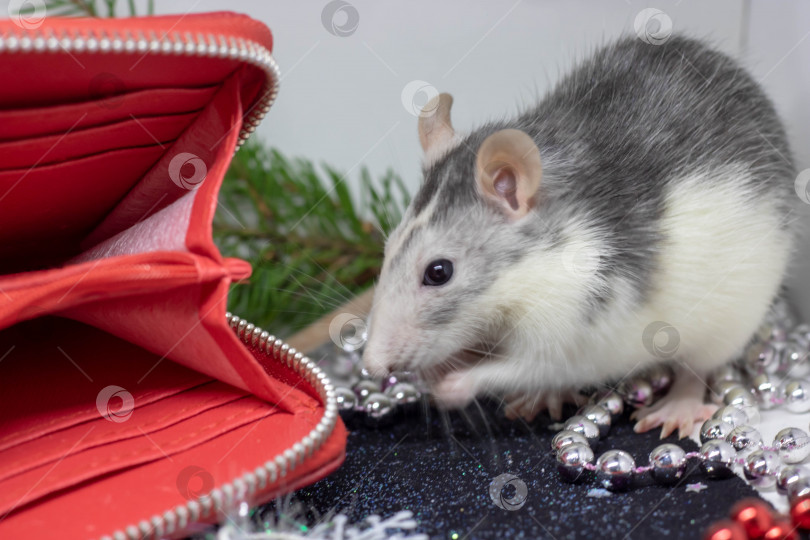 Скачать Рождественская крыса - символ нового 2020 года. Год крысы. Китайский Новый 2020 год. Рождественские игрушки, боке фотосток Ozero