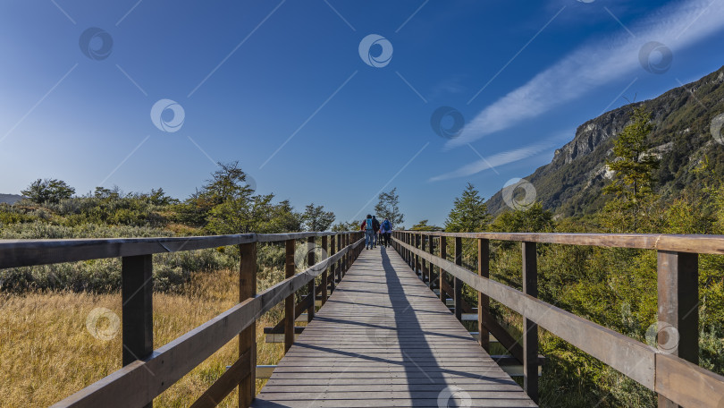Скачать По территории национального парка Огненная Земля проходит дощатый настил с перилами. фотосток Ozero