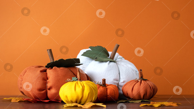 Скачать Белые, оранжевые, желтые тыквы и осенние листья на оранжевом фоне фотосток Ozero