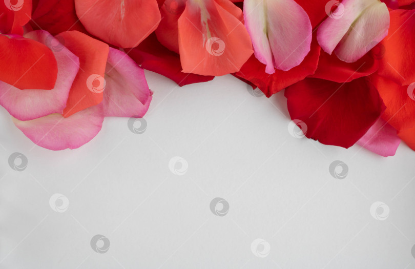 Скачать На лепестках красной розы изображено красное деревянное сердечко.Концепция Дня матери, Дня семьи, Дня святого Валентина, 8 марта. фотосток Ozero