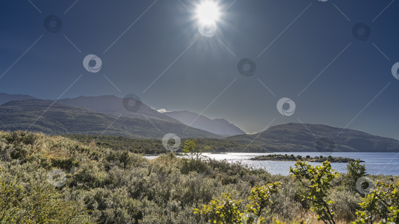 Скачать По берегам озера растут пышные зеленые кусты. фотосток Ozero