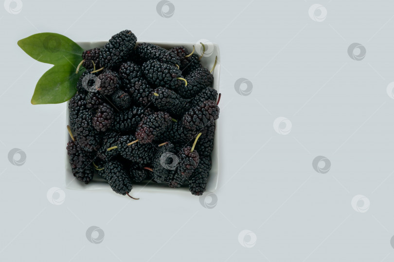 Скачать Свежие спелые плоды шелковицы в тарелке на белом фоне фотосток Ozero