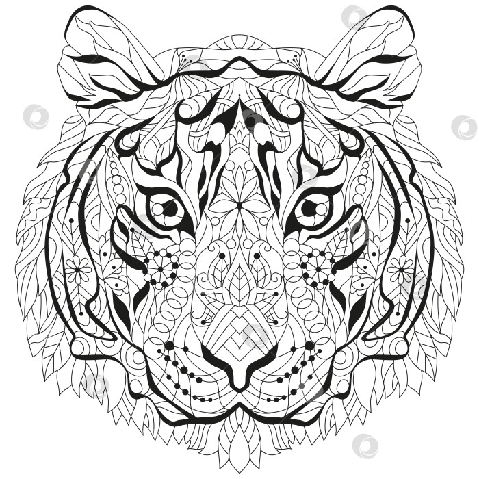 Скачать Голова тигра-Зентангла. Нарисованная от руки декоративная векторная иллюстрация для раскрашивания фотосток Ozero