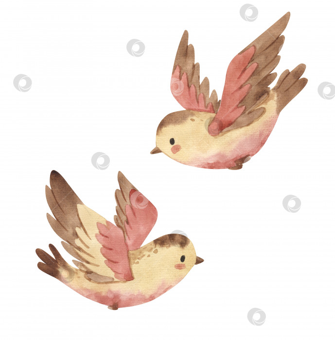 Скачать Акварельная иллюстрация птицы для детей фотосток Ozero