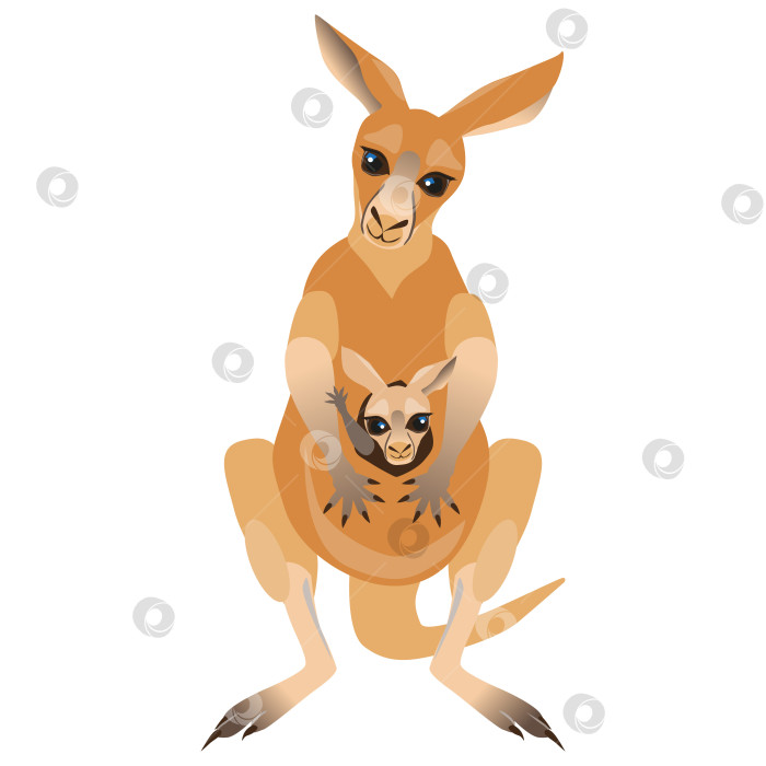 Скачать Мультяшный кенгуру и Джоуи фотосток Ozero