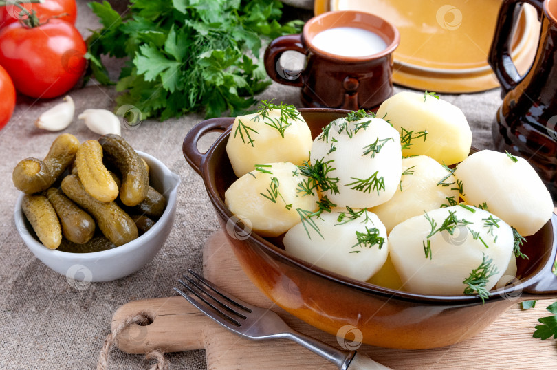 Скачать Отварной картофель с зеленью в глиняном горшочке. Рядом в белой чашке фотосток Ozero