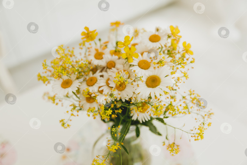 Скачать Красивый букет цветов ромашки в стеклянной банке на столе на кухне. фотосток Ozero
