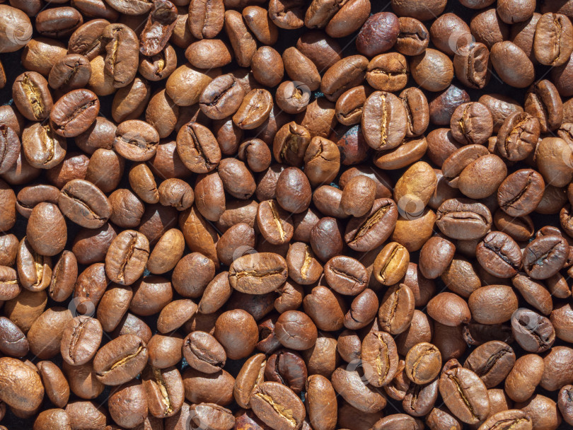 Скачать Крупный план обжаренных кофейных зерен, вид сверху. Фоновая текстура фотосток Ozero