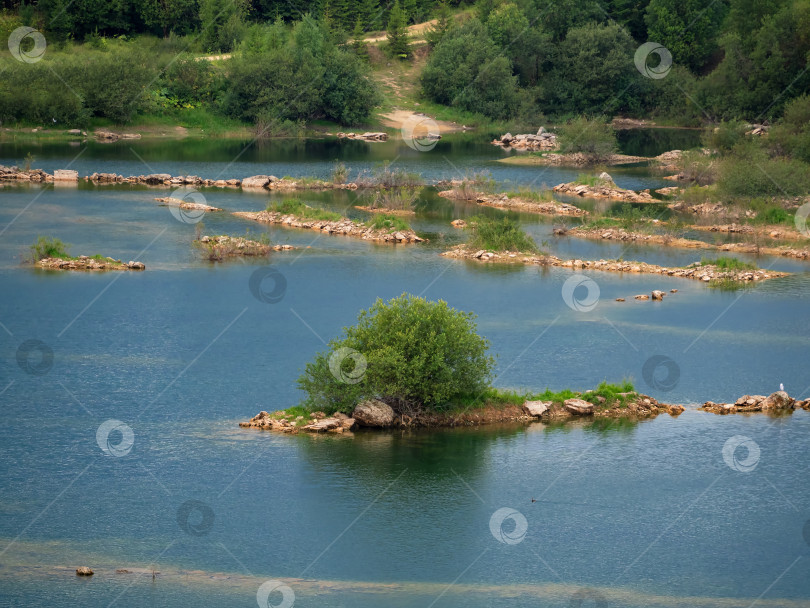 Скачать Большая водная лагуна. Остров посреди реки с деревьями. фотосток Ozero