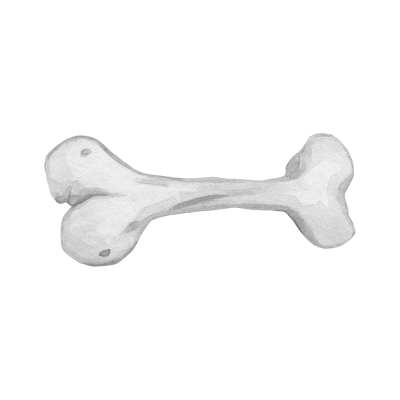[object Object] undefined