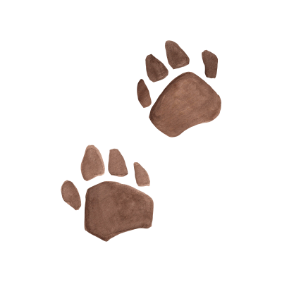 [object Object] undefined