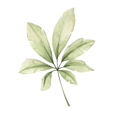 [object Object] undefined