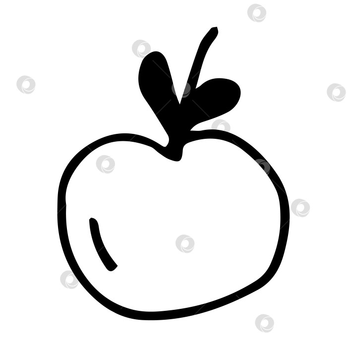 Скачать Векторное одноэлементное фруктовое яблоко с веточкой. фотосток Ozero