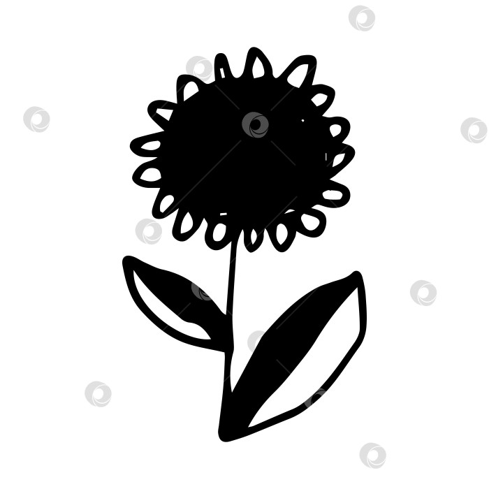 Скачать Векторный одноэлементный цветок подсолнуха на белом фоне фотосток Ozero
