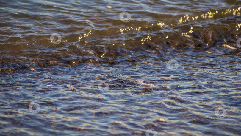 Скачать Текстурированный водный фон. Поверхность воды с рябью и отражениями фотосток Ozero