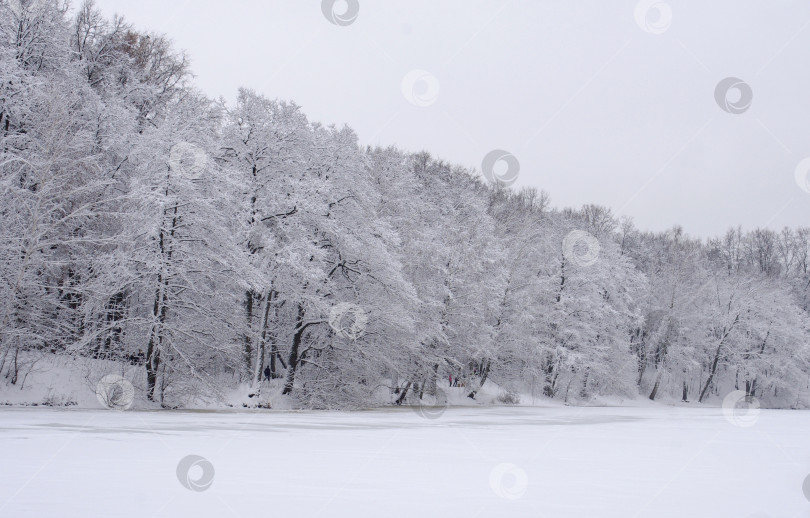 Скачать Зимний пейзаж фотосток Ozero