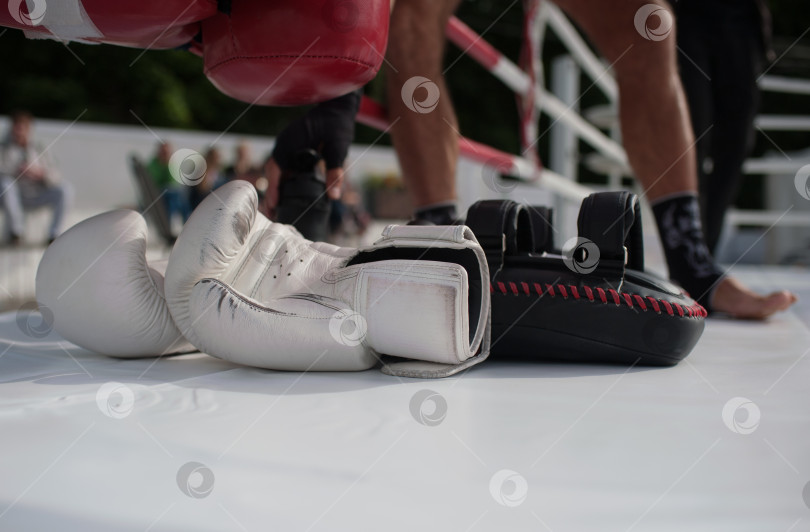 Скачать боксерские перчатки на ринге фотосток Ozero