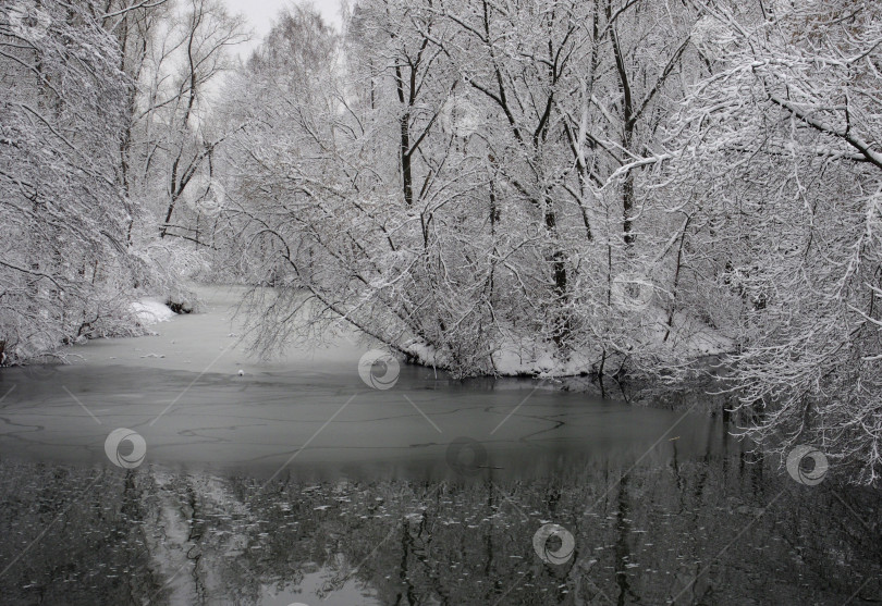 Скачать Зимний пейзаж фотосток Ozero