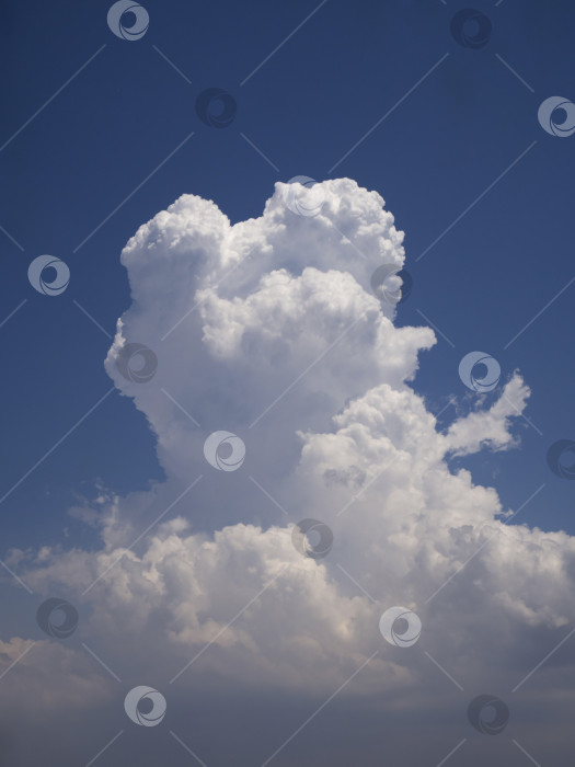 Скачать Великолепное кучевое облако в лучах солнца на голубом небе. фотосток Ozero