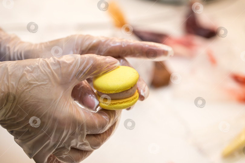 Скачать кондитер собирает половинки печенья macarons. крупный план. концепция домашней пекарни. фотосток Ozero