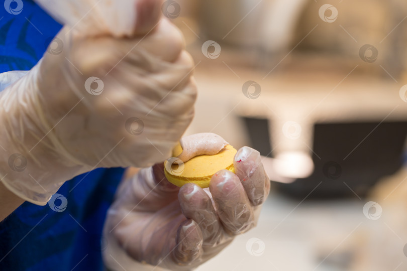 Скачать шеф-кондитер выдавливает начинку на печенье macarons. крупный план. концепция домашней пекарни. фотосток Ozero