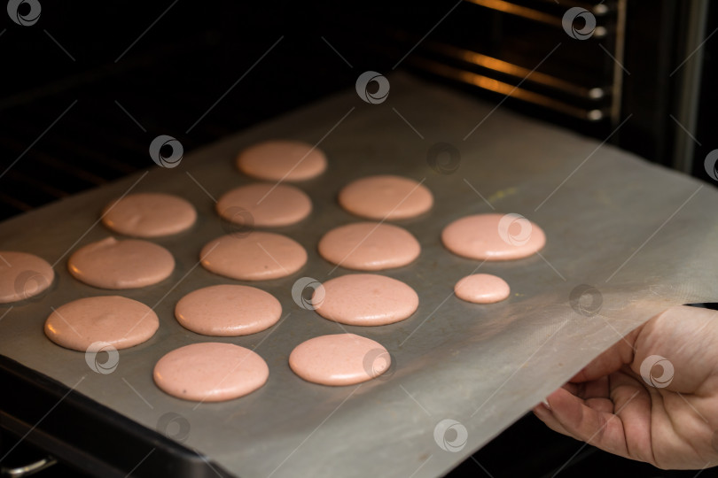 Скачать женщина-кондитер ставит печенье "макаронс" в духовку для выпекания. руки крупным планом. концепция домашней пекарни. фотосток Ozero