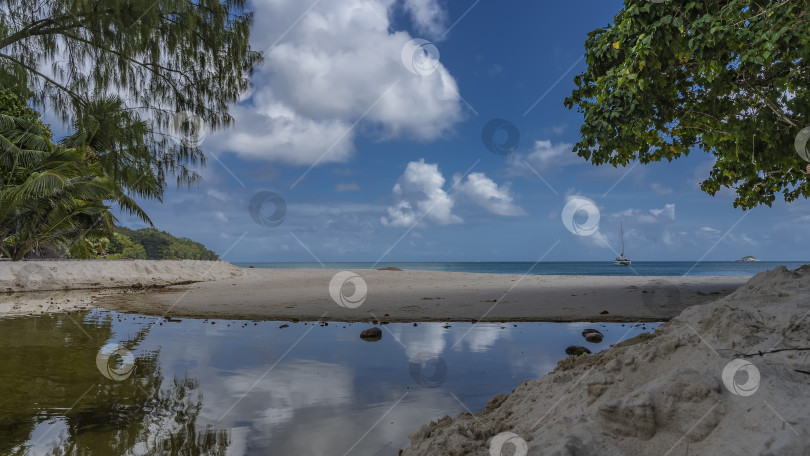 Скачать Тихая речная заводь на тропическом острове. фотосток Ozero