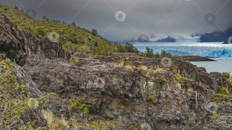 Скачать Удивительный ледник Перито-Морено. фотосток Ozero