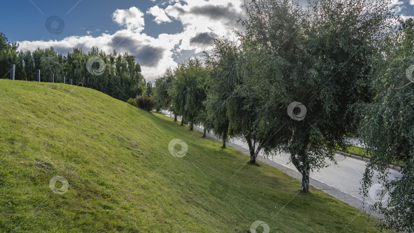 Скачать На склоне холма растет зеленая трава. фотосток Ozero