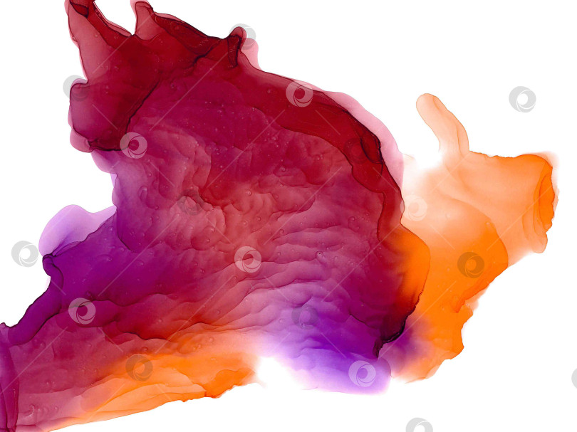 Скачать Яркий красочный всплеск с удивительным бордовым градиентом и изящной волнистой текстурой. Абстрактный стилизованный огонь или лепесток цветка. Модный праздничный воздушный узор ручной работы смелых оттенков в технике fluid art. фотосток Ozero