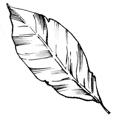 [object Object] undefined