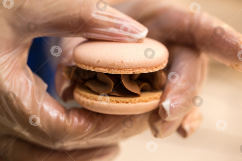 Скачать кондитер собирает половинки печенья macarons. крупный план. концепция домашней пекарни. фотосток Ozero