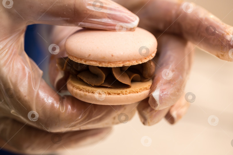 Скачать кондитер собирает половинки печенья macarons. крупный план. концепция домашней пекарни. фотосток Ozero