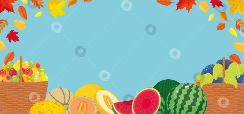 Скачать Осенний фон с сезонными местными фруктами и копировальным пространством. фотосток Ozero