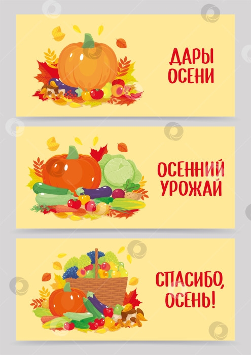 Скачать Баннеры "Осенние подарки" с овощами, фруктами и листьями фотосток Ozero