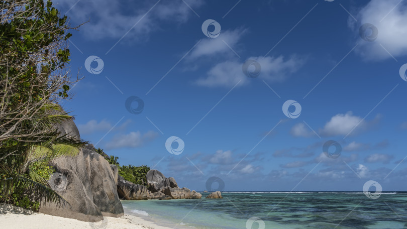 Скачать Прекрасный пляж на тропическом острове. фотосток Ozero