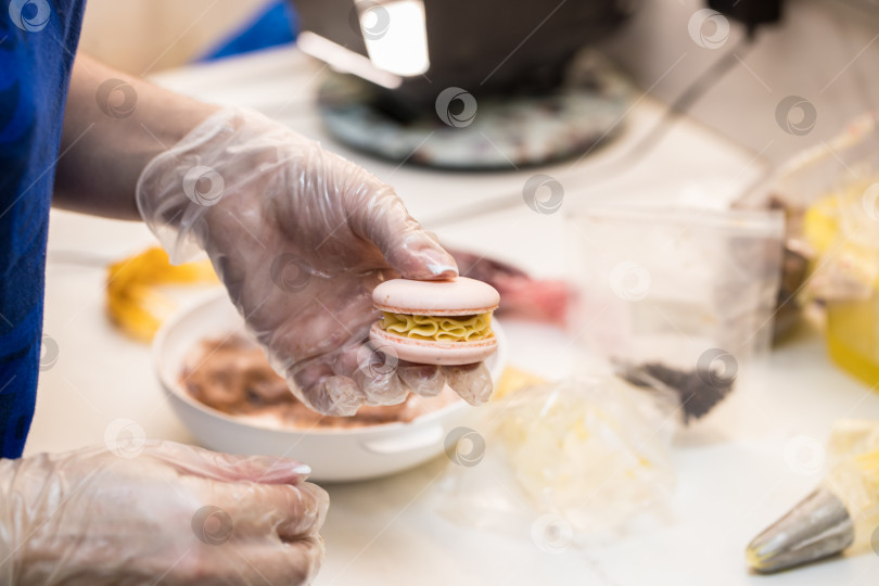 Скачать кондитер собирает половинки печенья macarons. крупный план. концепция домашней пекарни. фотосток Ozero