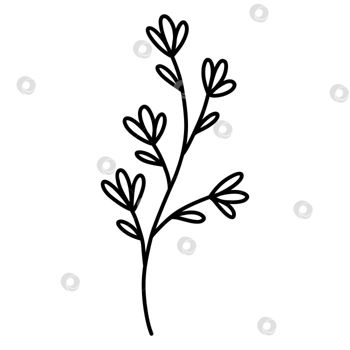 Скачать Симпатичная ветка с цветами и листьями фотосток Ozero