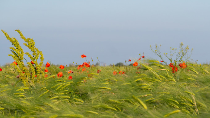 [object Object] undefined