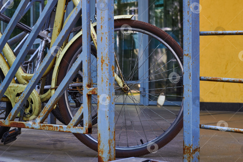 Скачать припаркованные велосипедные шины, колеса и спицы. фотосток Ozero