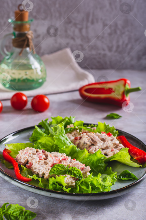 Скачать Салат из консервированного тунца с овощами на листьях салата-латука на тарелке v фотосток Ozero