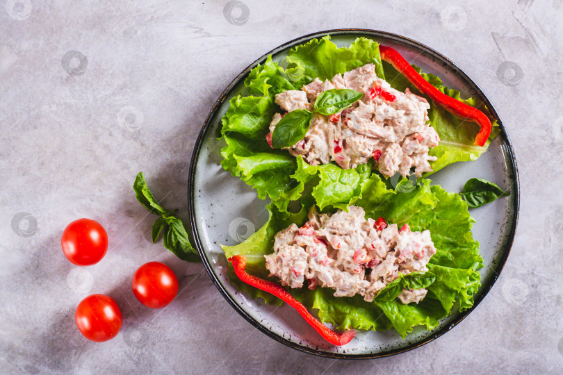 Скачать Крупный план салата из консервированного тунца с овощами на листьях салата-латука фотосток Ozero