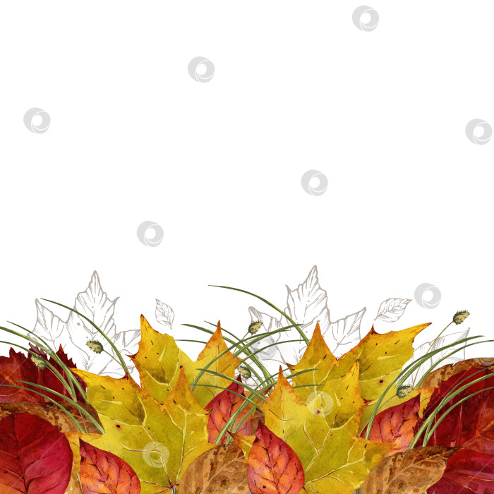 Скачать Осенние сухие листья. Лиственные деревья. Акварельная иллюстрация с местом для вашего текста. Шаблон открытки, приглашения. Для текстильного дизайна. фотосток Ozero