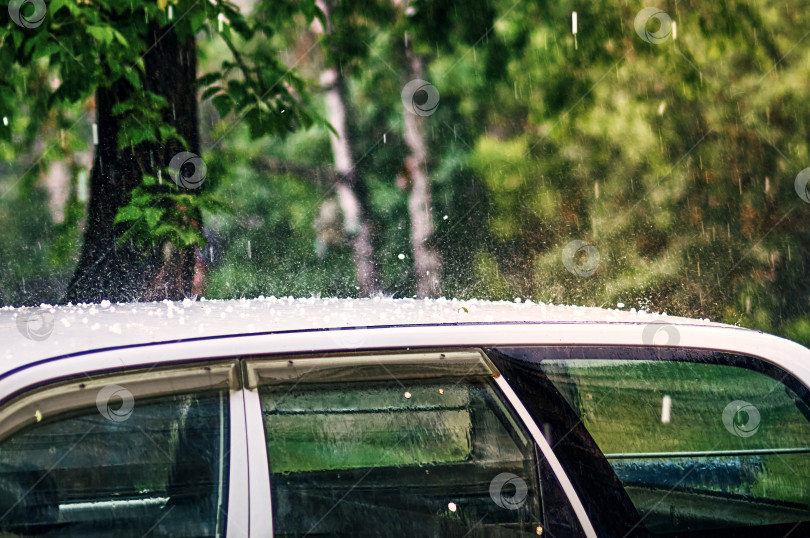 Скачать Внезапный ливень с градом обрушился на крышу белого автомобиля летним днем на фоне зеленой листвы деревьев. фотосток Ozero