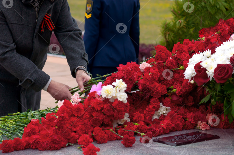 Скачать Возложение цветов к памятнику. фотосток Ozero