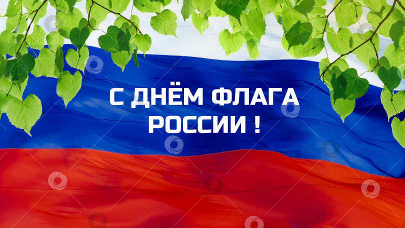 Скачать День российского флага 22 августа. Российский флаг с березовыми листьями. фотосток Ozero